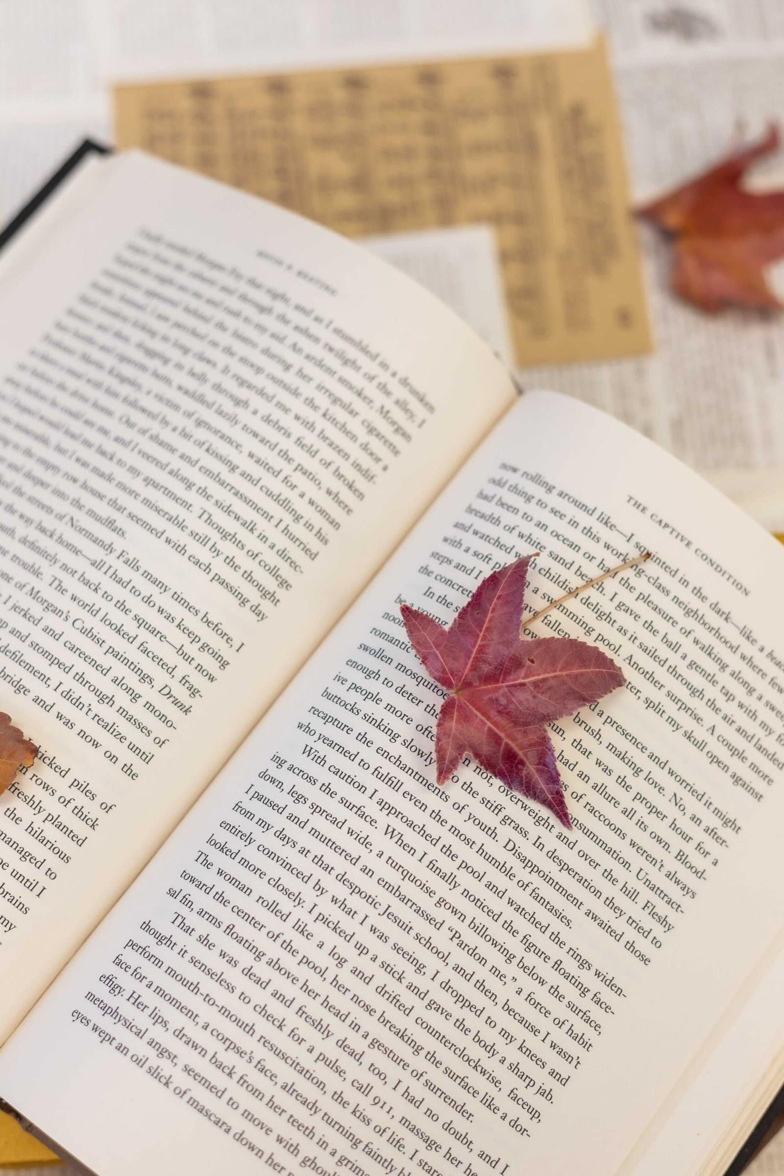 Open book with leaf on top