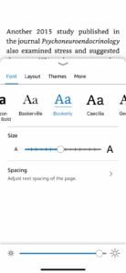 Kindle Reader Accessibility Options